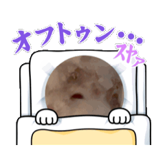 @mutan_20260808163527