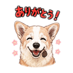 mayu_20260808060608