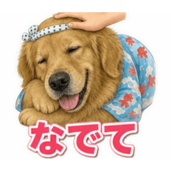 tomo_20260808083048
