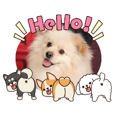 NICKPOM