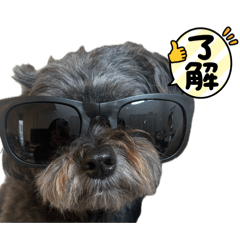 motti_20260808095648