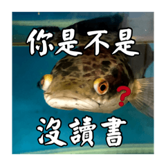 霸總小嬌妻愛用貼圖