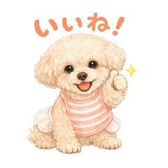 mayumi_20260808085903