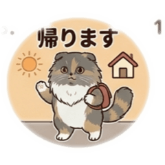 scy_20260808103745