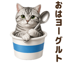 ダジャレ！ アメリカンショートヘア