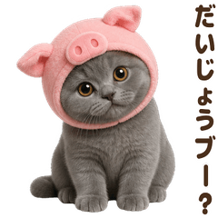 ダジャレ ブリティッシュショートヘア 子猫