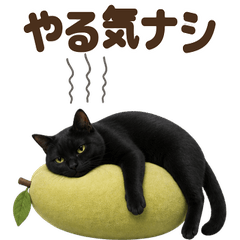 ダジャレ！ 黒猫