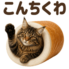ダジャレ！ メインクーン