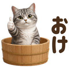 ダジャレ！ マンチカン