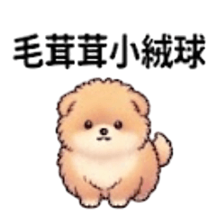 汪汪的一生