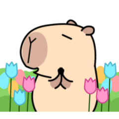 Pipi Capybara animated 4