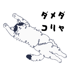 hama_20260808122154
