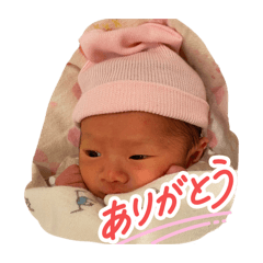 ema_20260808123632