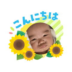 momo_20260808124857