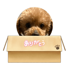 Yuto_20260808124717