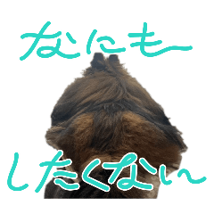 MIKA_20260808124504