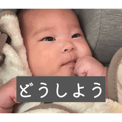 kono_20260808124820
