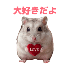 @mutan_20260808125442