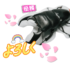 BANANA_20260808125318