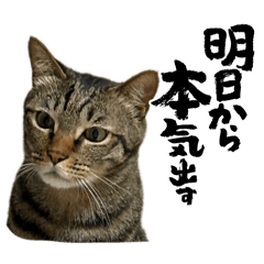 yuko_20260808125538