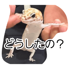 ouki_20260808132526