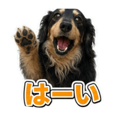 takashi ohtani_20260808130343