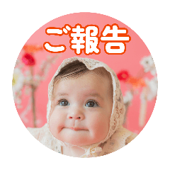 RISA_20260808132706