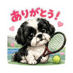 picklekoji_20260808132510