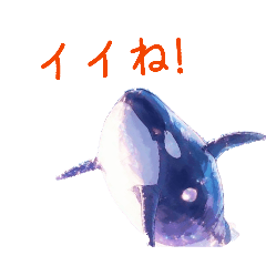mi-misan_20260808132518