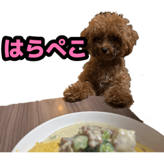 Boris_20260808133411