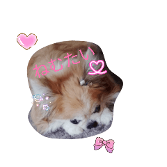 manakaroll_20260808131819