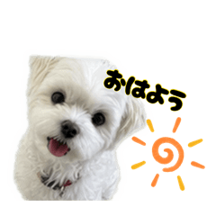 gumikku_20260808133423