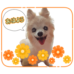 yumelink_20260808132452