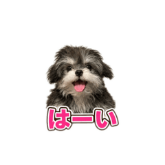 LALA_20260808140724