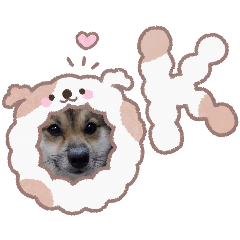 tyoko0806