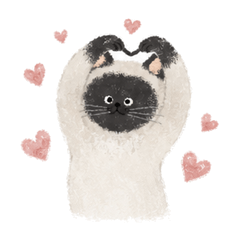 LifeSiameseCat