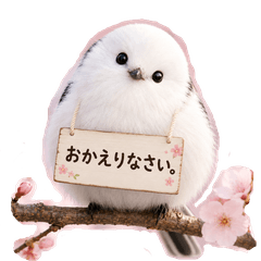 Everyday Real Shima Enaga