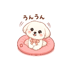 momo_20260808144134
