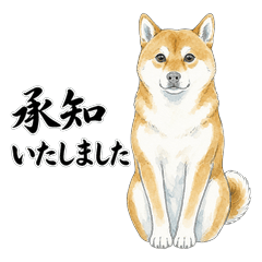Polite Requests Shiba inu