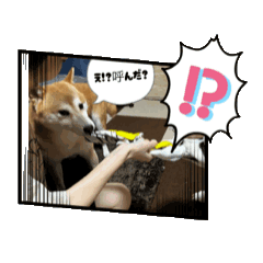 kotanuking_20260807144824