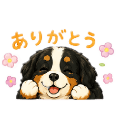 AKIKAZE_20260807145519