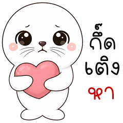 Mochi the Seal (Kum-muang)