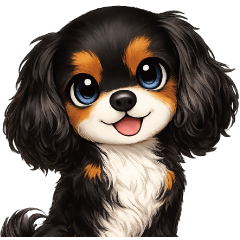 Daily Polite Cavalier [Black & Tan]