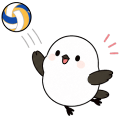Volleyball Shima Enaga