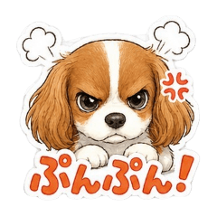 Reo_20260807152821