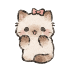 Fluffy cat : That one Siamese