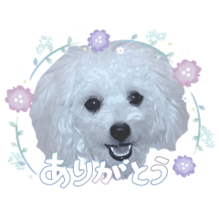 fourseasin_20260807155052