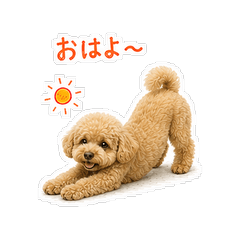 Fluffy Popular Dog Breeds | Daily Reply