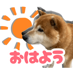 Maami_20260808164001