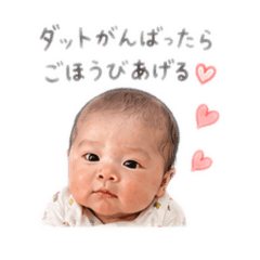 ODEstamp_20260808175428